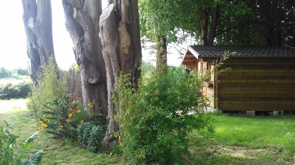 Chalet du Clos Giot Saint-Vaast-la-Hougue Exterior foto